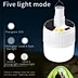 Solar Camping Lantern